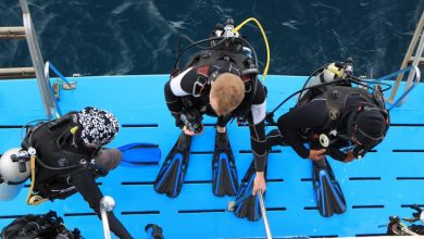 Reef-World's Green Fins initiative helps dive and snorkel operators reduce their environmental impact. Photo by The Reef-World Foundation