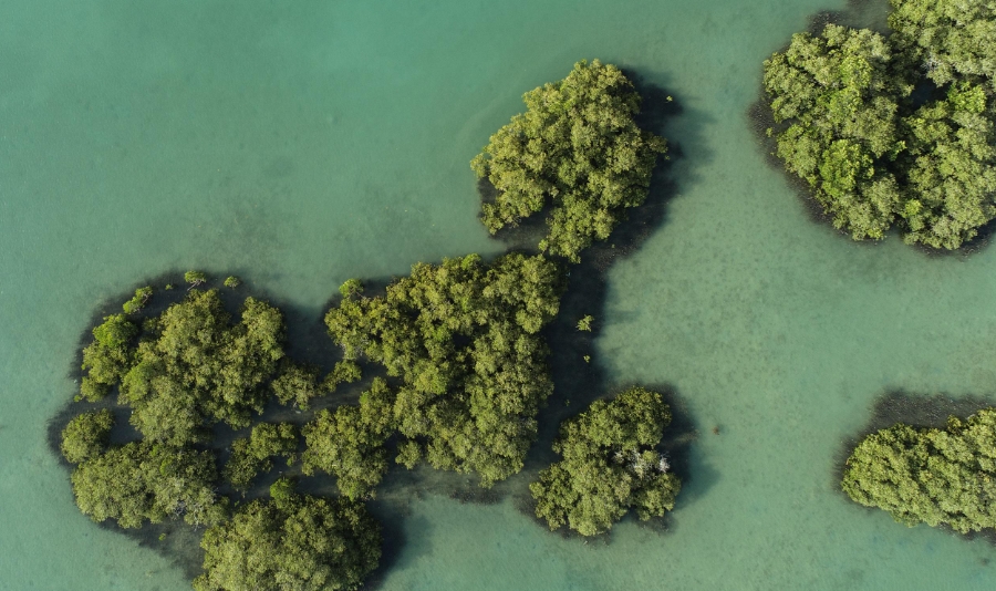 First Destination Ever in Saudi Arabia Achieves World-Renowned EarthCheck Certification - TRAVELINDEX