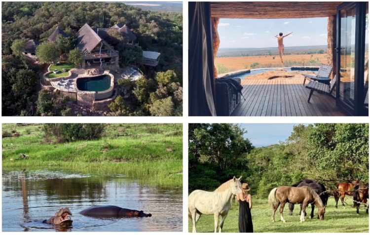 Nsele Private Game Reserve recognised by Conde Nast Traveler - TRAVELINDEX